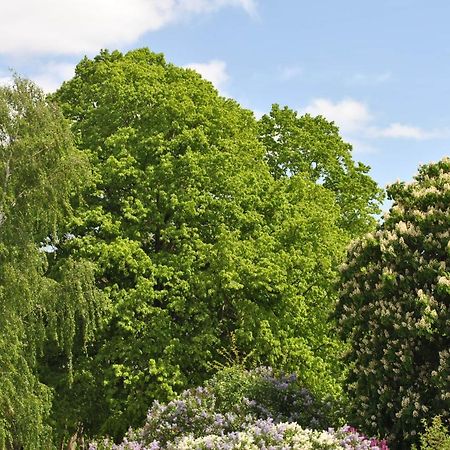 Ferienwohnungen Am Plaetlinsee Wustrow  Εξωτερικό φωτογραφία